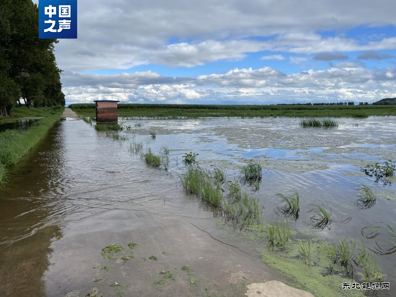 辽宁一地采煤毁了5万亩耕地，土地修复的难度很大