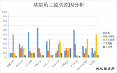 青年员工，怎样才能留住你？——基层青年员工流失原因分析及对策