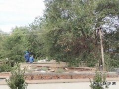 阿勒泰执法支队北屯执法大队协调国家电网消除安全隐患