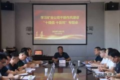 蒲白煤矿运营公司：作风研讨如火如荼